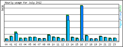 Hourly usage