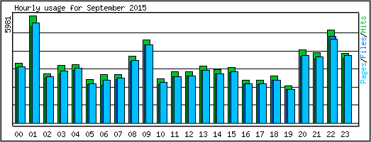 Hourly usage