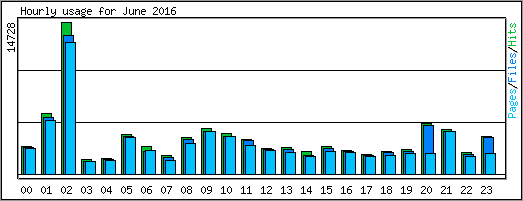 Hourly usage