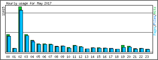 Hourly usage