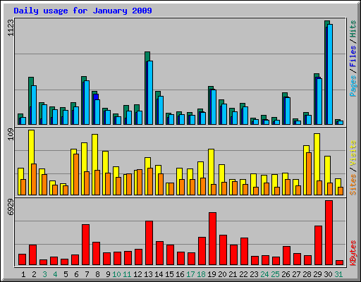 Daily usage for January 2009