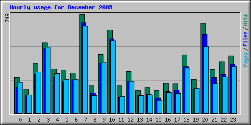 Hourly usage for December 2005