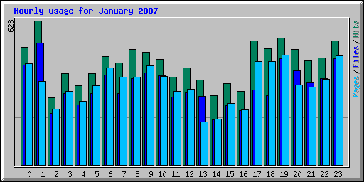 Hourly usage for January 2007