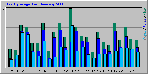 Hourly usage for January 2008